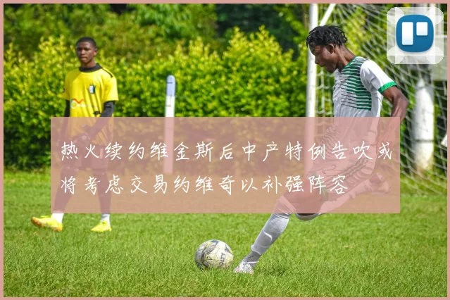 热火续约维金斯后中产特例告吹或将考虑交易约维奇以补强阵容